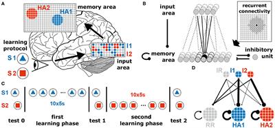 The Interplay of Synaptic Plasticity and Scaling Enables Self-Organized Formation and Allocation of Multiple Memory Representations